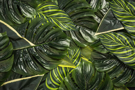 Tropische Blätter