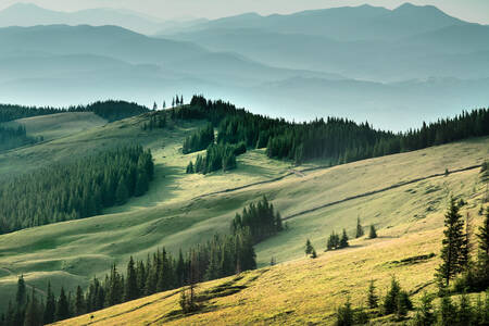 Fog in the Carpathians