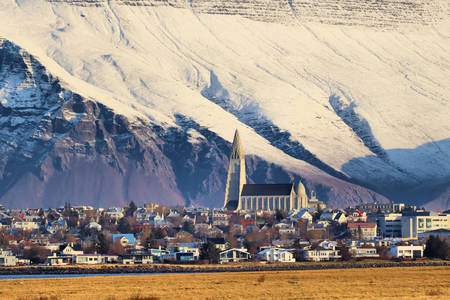 Widok Reykjaviku