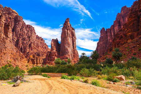 Wadi Al Disah, Arabia Saudita