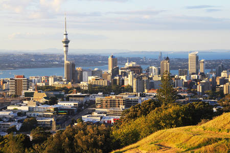 View from Mount Eden to the city of Auckland