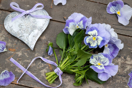 Kimp kannikesi ja süda