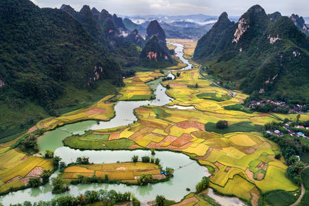 Reisfelder entlang des Flusses