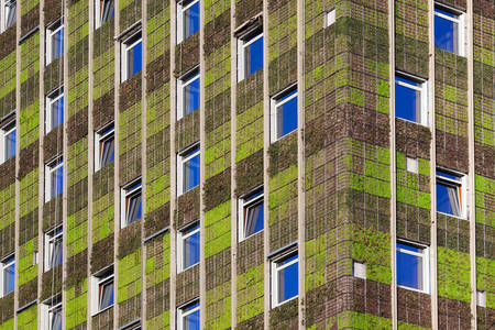 Épület "zöld falakkal" Santiagóban