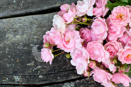 Ροζ τριαντάφυλλα σε ξύλινο φόντο