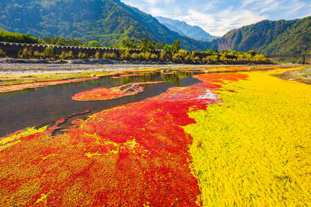 Colorful River