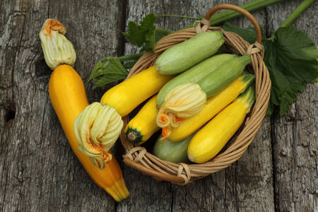 Zucchine in un cestino