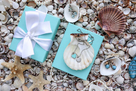 Jewelry on a background of shells