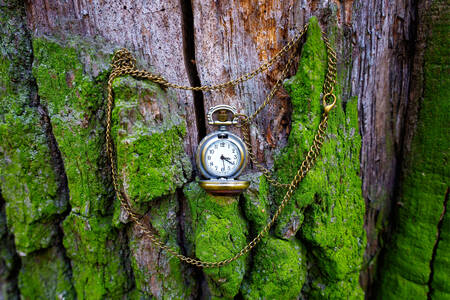 Pocket watch on old wood