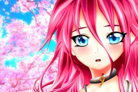 Girl on the background of sakura