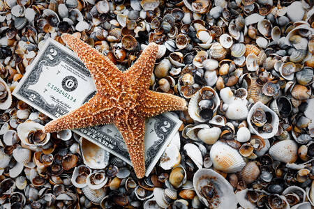En to-dollarseddel på skjell