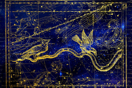 Carte de la constellation