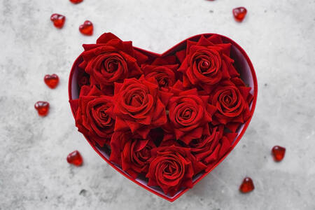 하트 모양 상자에 담긴 장미