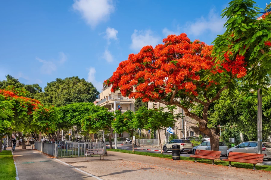 Viale Rothschild a Tel Aviv