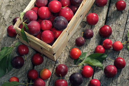 Plums on a wooden table