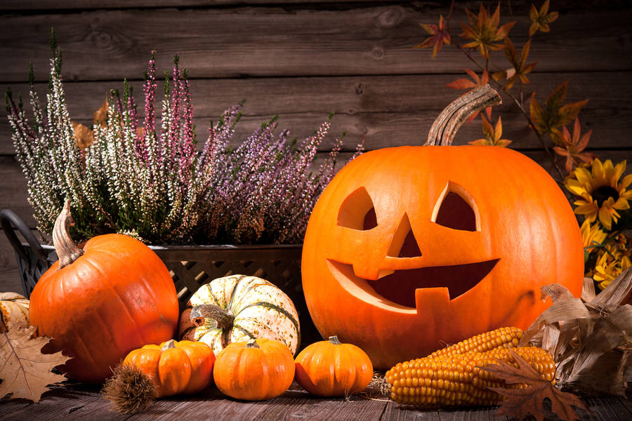 Wbbm newsradio 780 am 105 9 fm listen live chicago united states