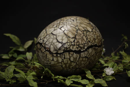 Prehistoryczne jajo zwierzęce