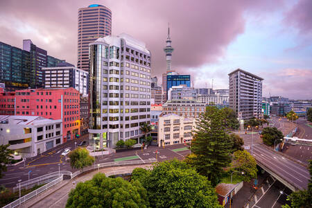 Auckland şehir merkezi