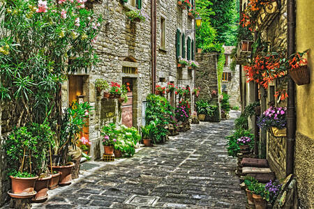 Rua na cidade da Toscana