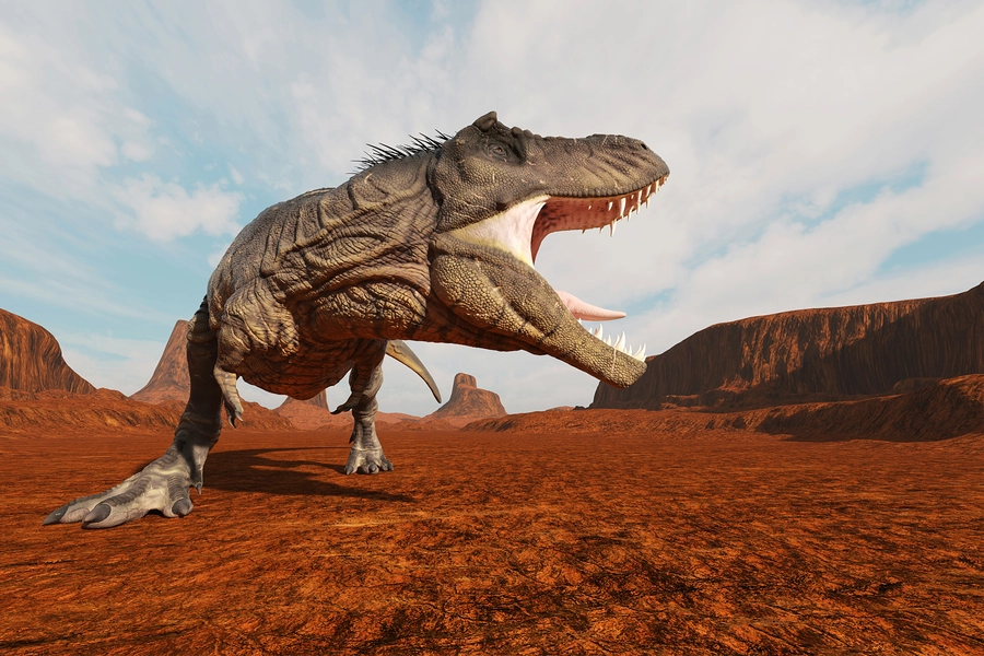 Large tyrannosaurus