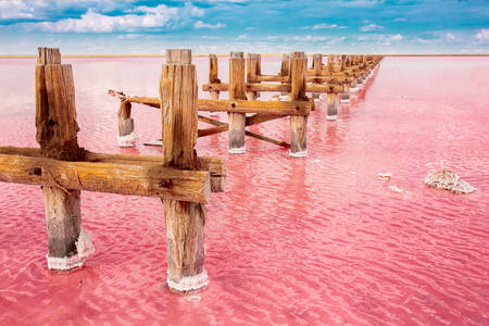 View of the pink lake