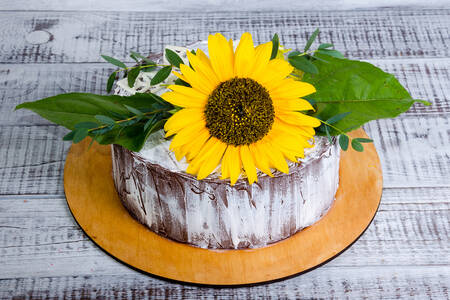 Sunflower cake