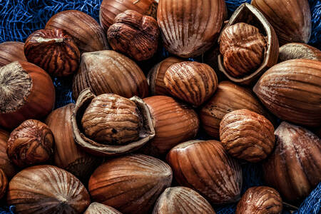 Hasselnødder i skaller
