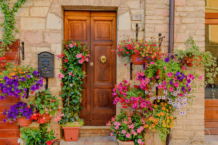 Floral facades of houses in Spello