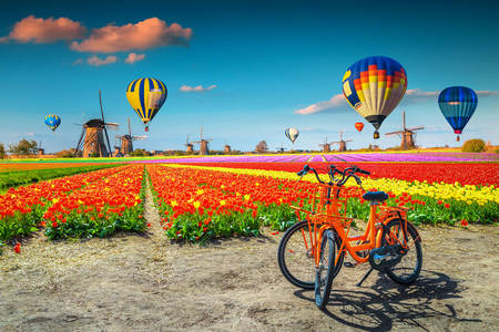 Kinderdijk köyü üzerinde sıcak hava balonları