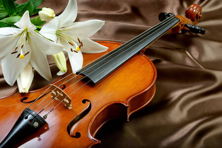 Violine und Lilien