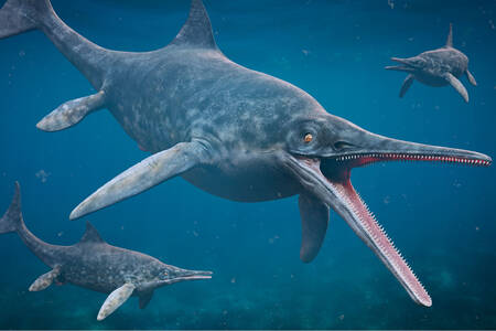 Ichthyosaurussen