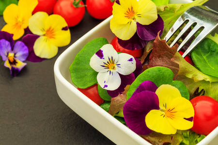 Pansy salad with herbs