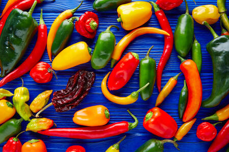 Peppers on a blue background