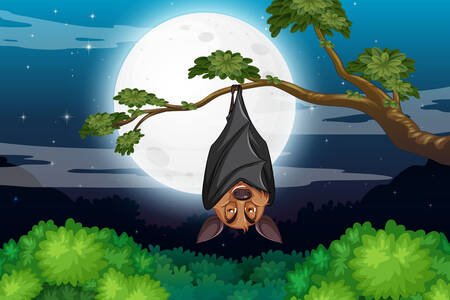 Morcego em uma árvore