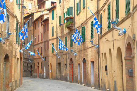 Strada con bandiere a Siena