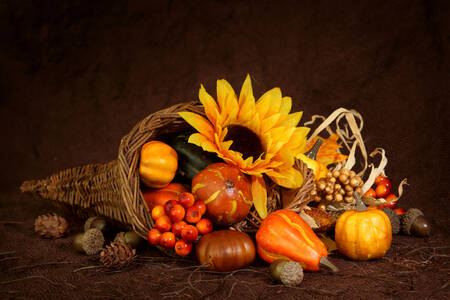 Calabazas y bayas