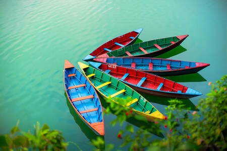 Colorful boats