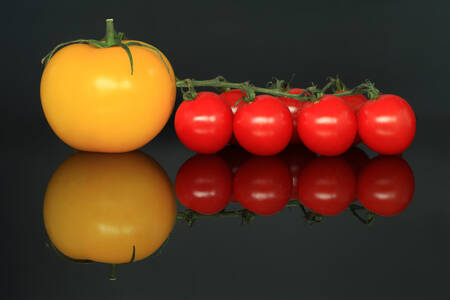 Yellow tomato and cherry