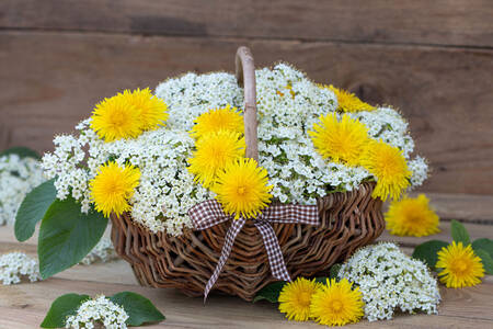 Viburnum flowers and dandelions
