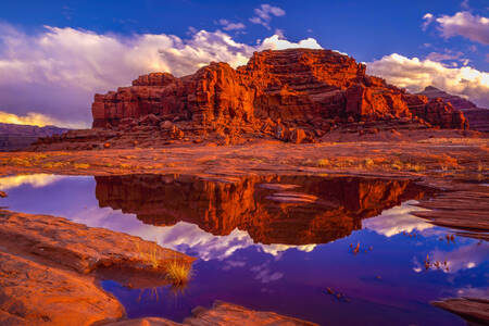 Державний парк Дед-Хорс-Пойнт