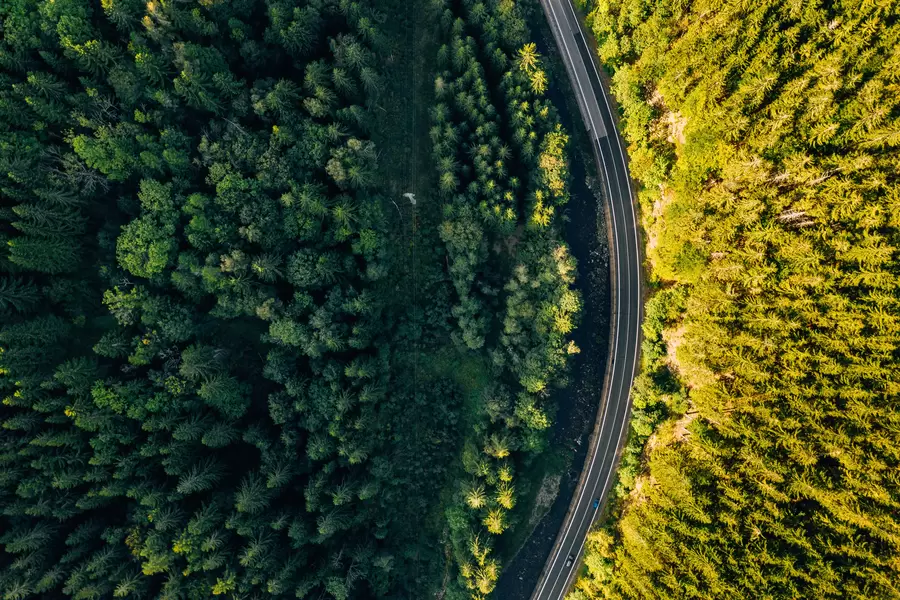 The road is surrounded by green forest