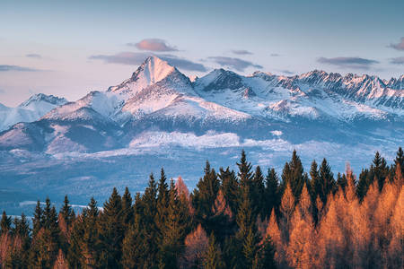 Yüksek Tatralar
