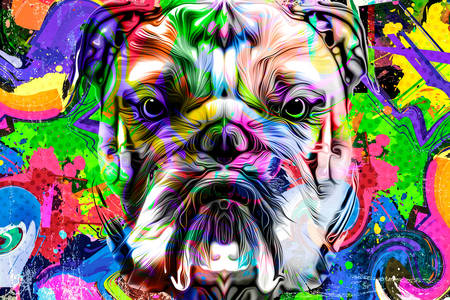 Kleurrijke graffiti met bulldog