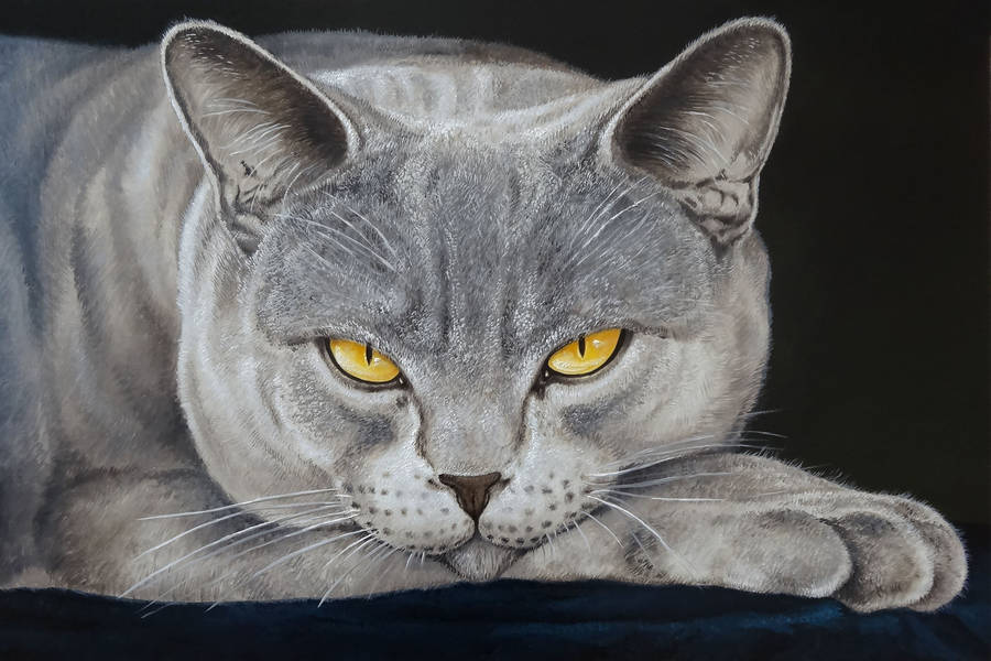 CW 54 Emisora del Este online Señal en vivo Montevideo, Uruguay