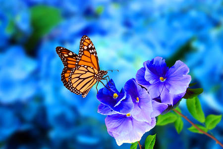 Mariposa sobre flores azules