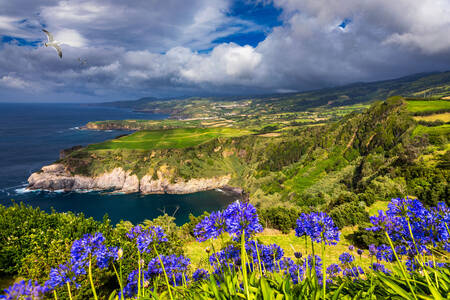 Nature of Portugal