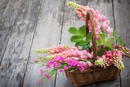 Lupines in a basket