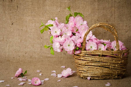 Flowers in a golden basket