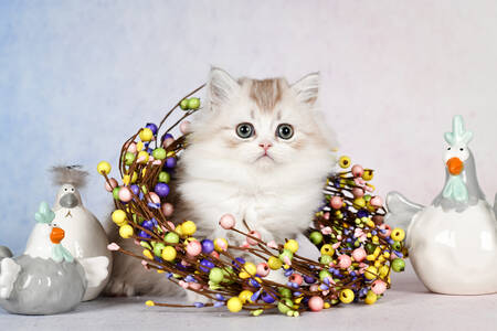 Kitten with a wreath