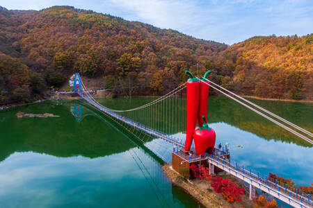 Cheongyang-gun Suspension Bridge